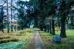 Лента времени: Кто стоял у истоков создания ботанического сада в Витебске?