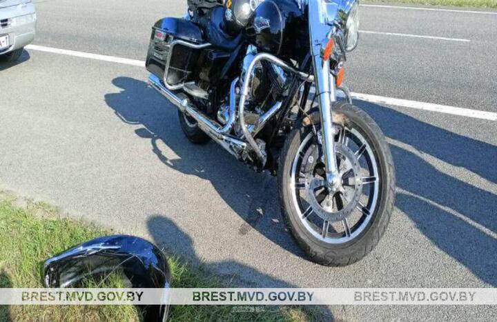 Байкер на Harley-Davidson насмерть сбил косулю в Ивацевичском районе