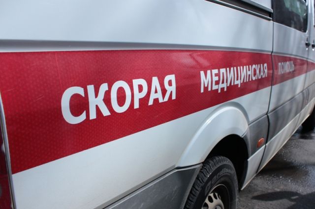 Два случая отравления грибами зарегистрировали в Каменецком районе